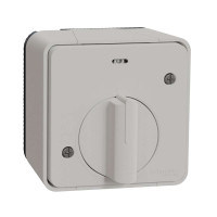 Вимикач з таймером IP55, для поверхневого монтажу, білий, Mureva Styl Schneider Electric MUR39067