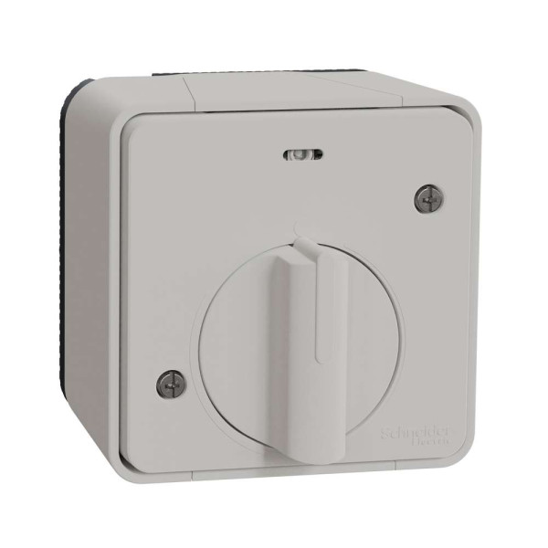 Вимикач з таймером IP55, для поверхневого монтажу, білий, Mureva Styl Schneider Electric MUR39067