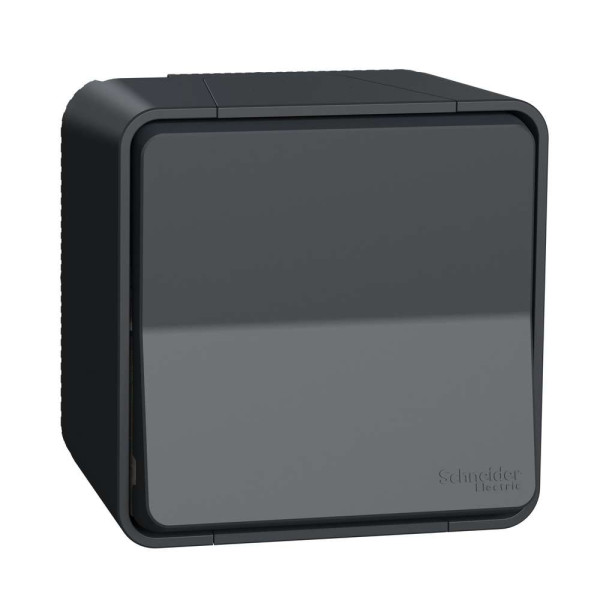 Кнопковий вимикач у зборі IP55, чорний, Mureva Styl Schneider Electric MUR35026