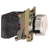 XB4BW31M5. Кнопка 22мм 230-240В с возвратом с подсветкой