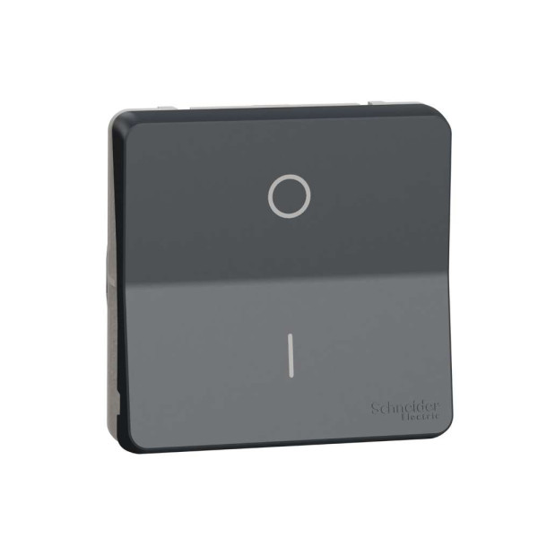 Механізм перемикача двохполюсний IP55, чорний, Mureva Styl Schneider Electric MUR35034