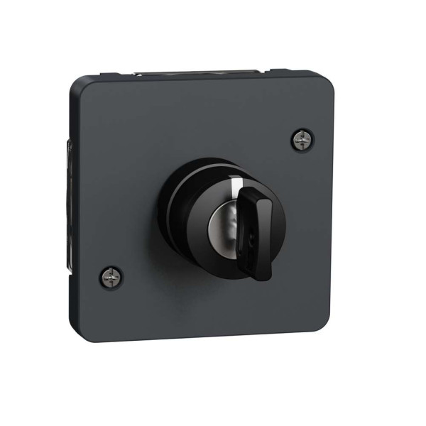 Механізм вимикача з ключем на 3 положення IP55, чорний, Mureva Styl Schneider Electric MUR35061
