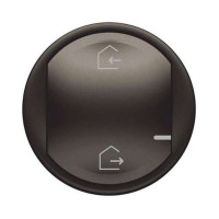 64832. Celiane with NETATMO. Лицьова панель для головного беспроводового вимикача. Колір Графіт