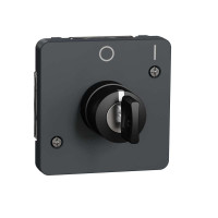 Механізм вимикача з ключем на 2 положення IP55, чорний, Mureva Styl Schneider Electric MUR35062