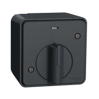 Вимикач з таймером IP55, для поверхневого монтажу, чорний, Mureva Styl Schneider Electric MUR35067